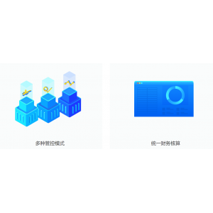 集團(tuán)化公司落地財(cái)務(wù)管控5點(diǎn)價(jià)值
