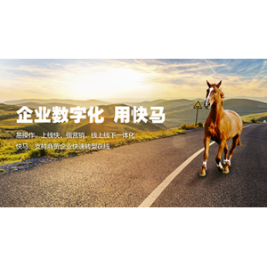 管家婆快馬批發(fā)